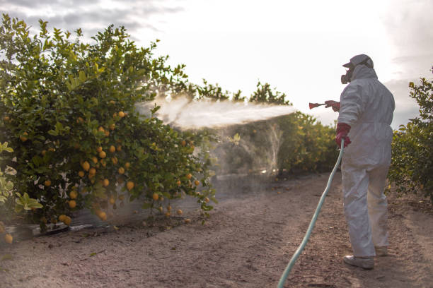 Best Commercial Pest Control Services  in Elkin, NC