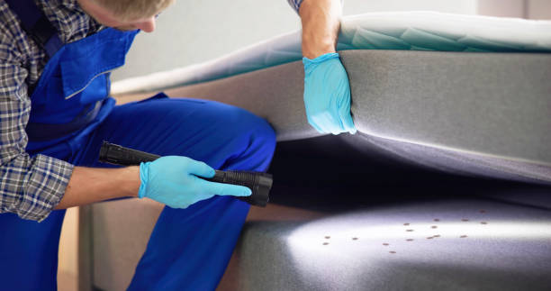 Best Pest Inspection Near Me  in Elkin, NC